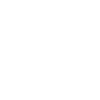 Small White LinkedIn Logo